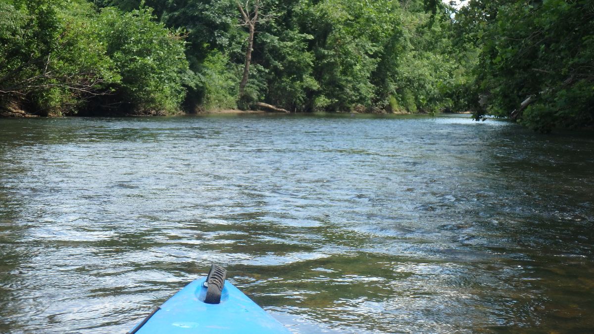Rockfish River (20) 🌊 Virginia Riverfront Farms